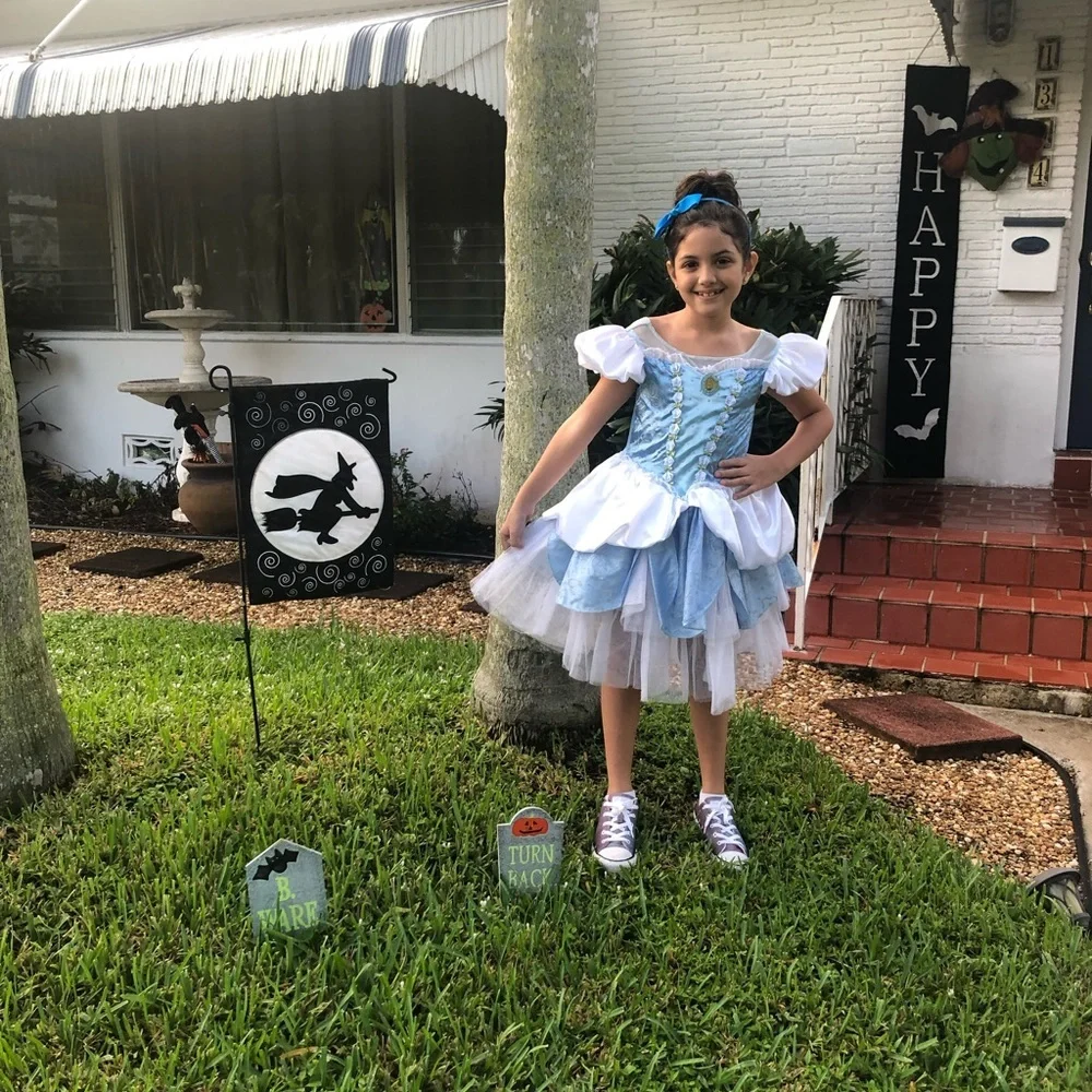 Disney Cinderella Costume
